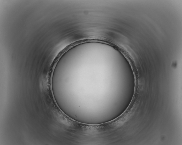 X0000096720875200802121246
