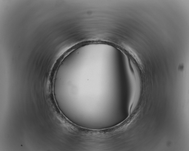 X0000096720876200802121246
