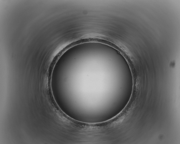 X0000096720877200802121246