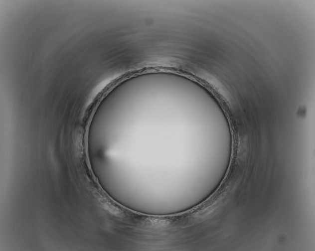 X0000096720878200802121246