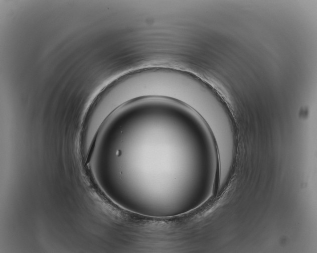 X0000096720880200802121246