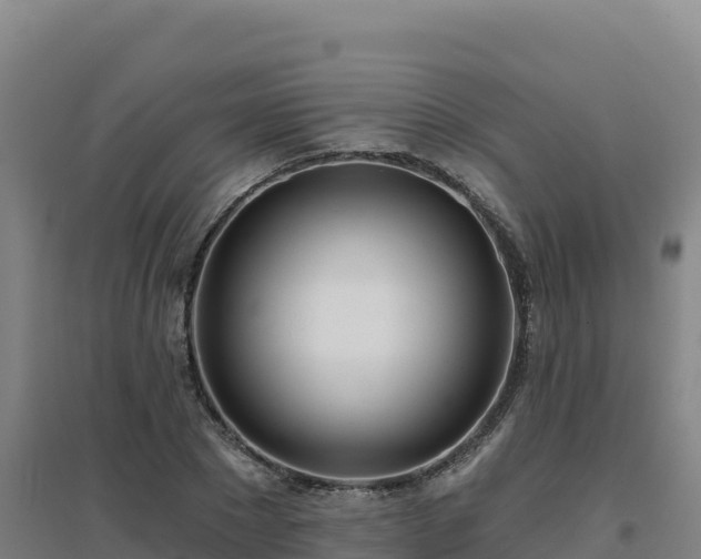 X0000096720881200802121246