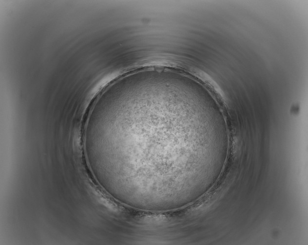 X0000096720882200802121246