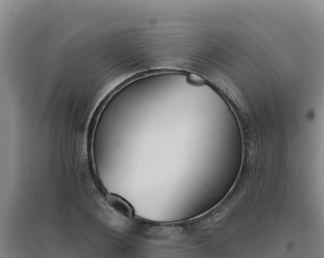 X0000096720884200802121246