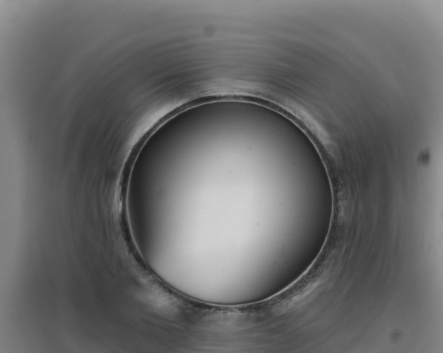 X0000096720885200802121246