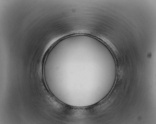 X0000096720886200802121246