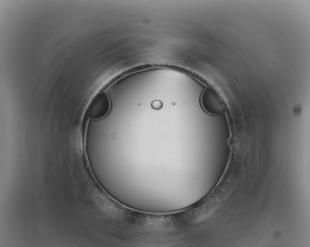 X0000096720887200802121246