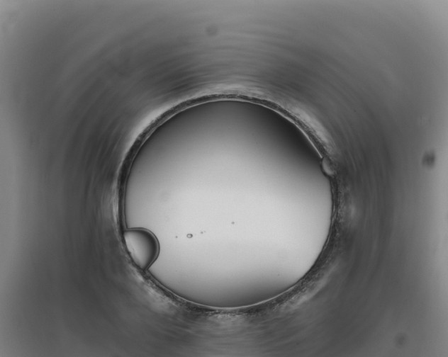 X0000096720888200802121246