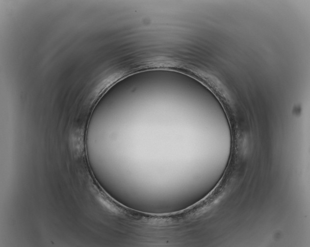 X0000096720889200802121246