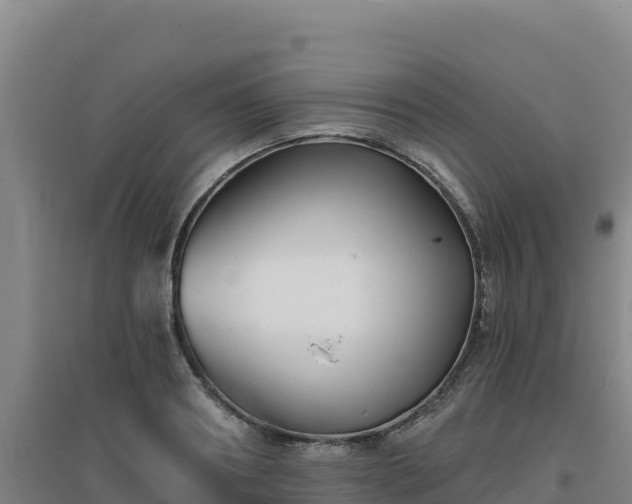 X0000096720890200802121246