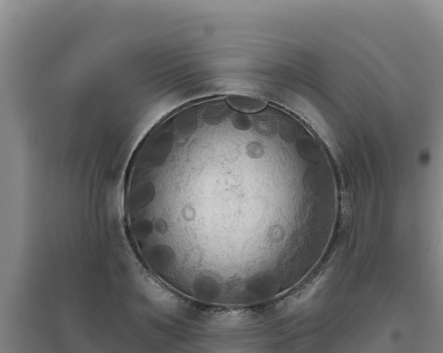X0000096720891200802121246