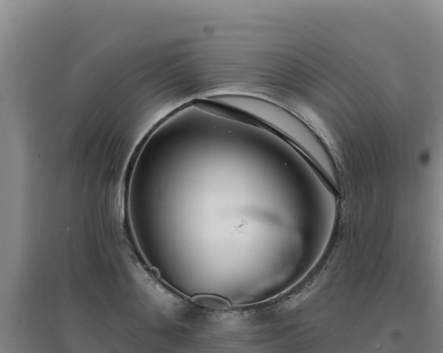X0000096720892200802121246