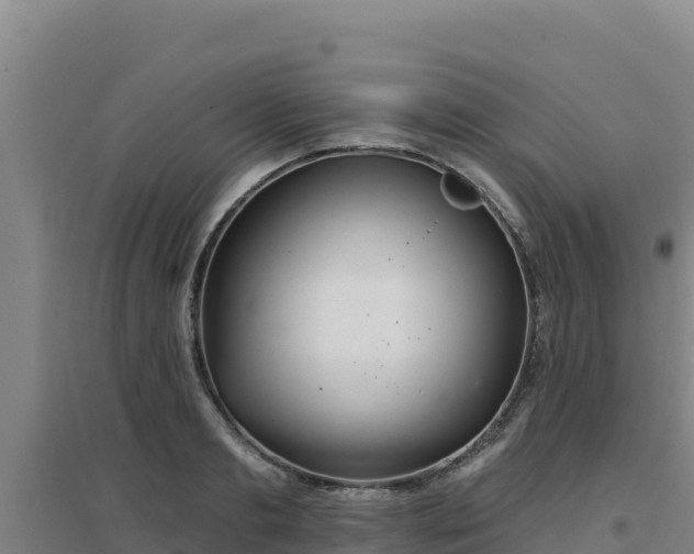 X0000096720893200802121246