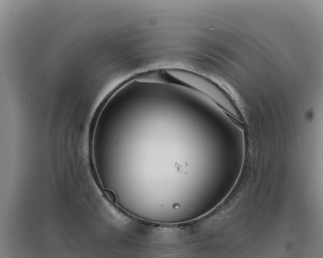 X0000096720894200802121246