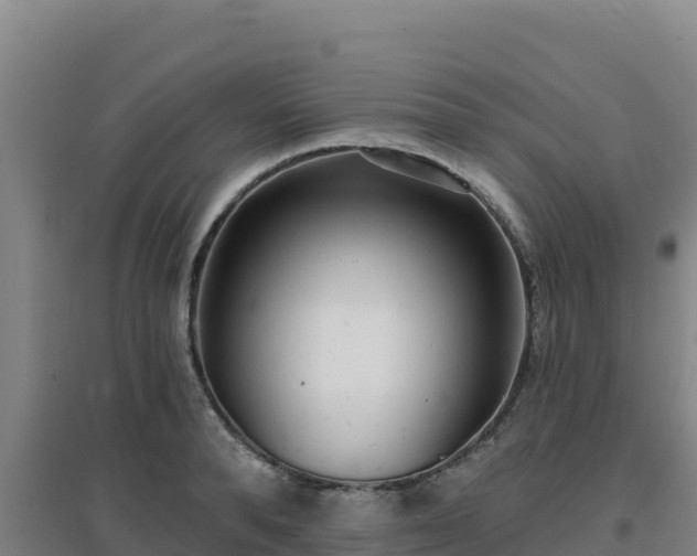 X0000096720896200802121246