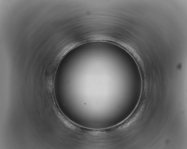 X0000096720897200802121246