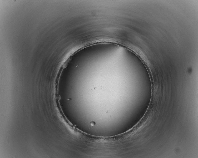 X0000096720898200802121246