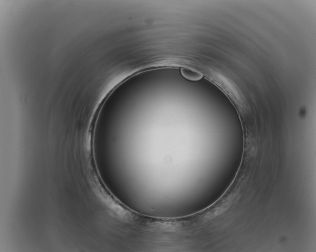 X0000096720900200802121246
