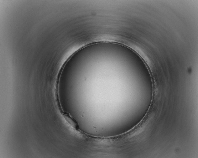 X0000096720901200802121245