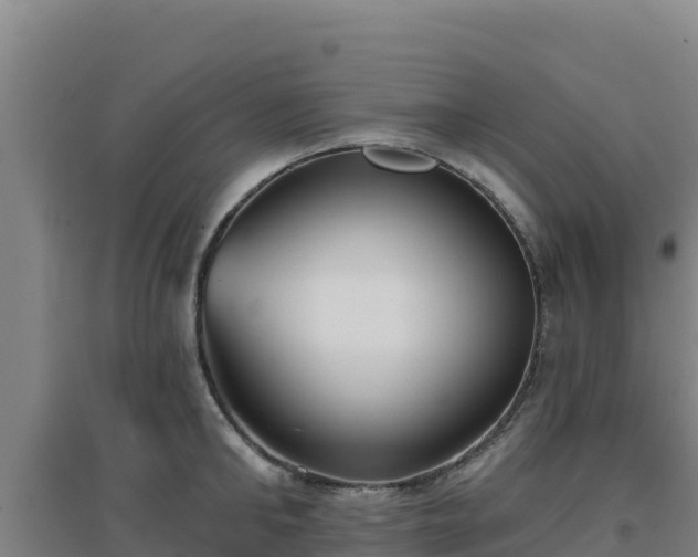 X0000096720902200802121245