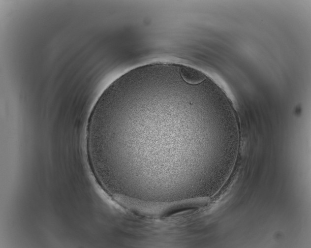 X0000096720903200802121245