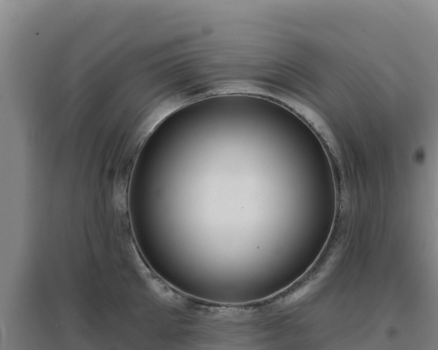 X0000096720905200802121245