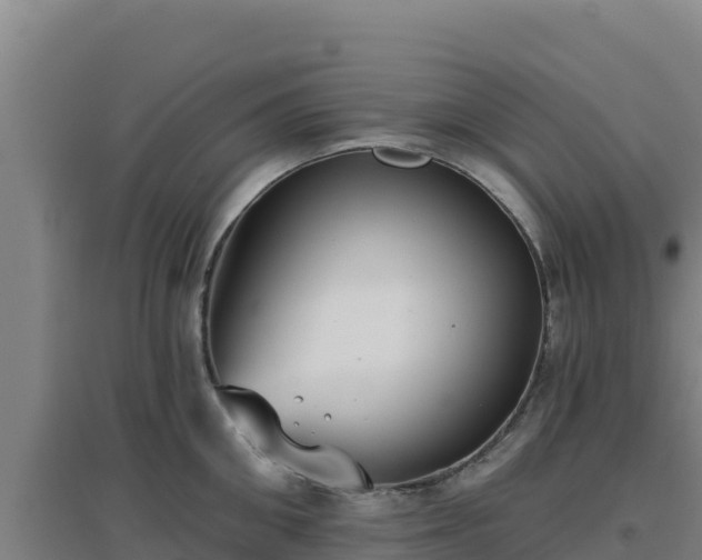 X0000096720906200802121245
