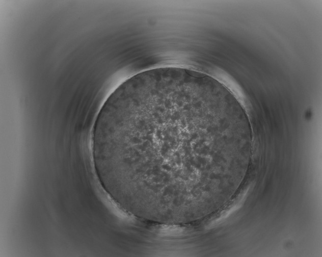 X0000096720907200802121245