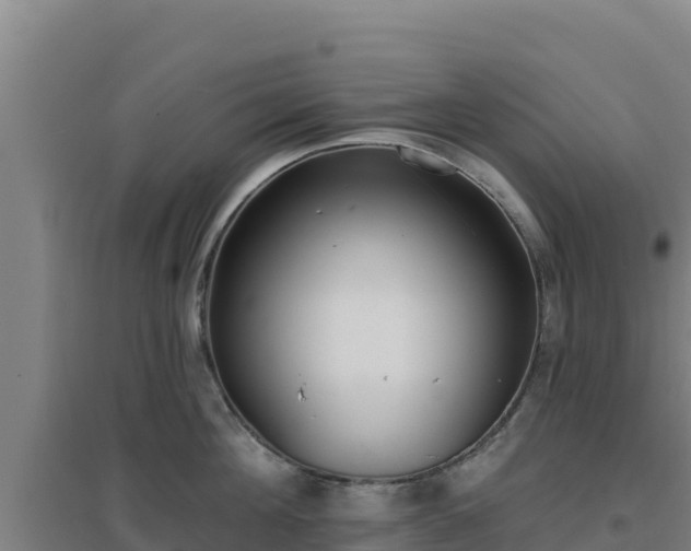 X0000096720908200802121245