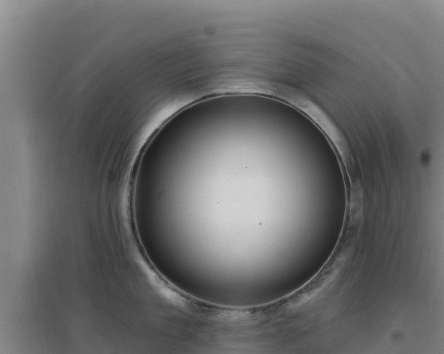 X0000096720909200802121245
