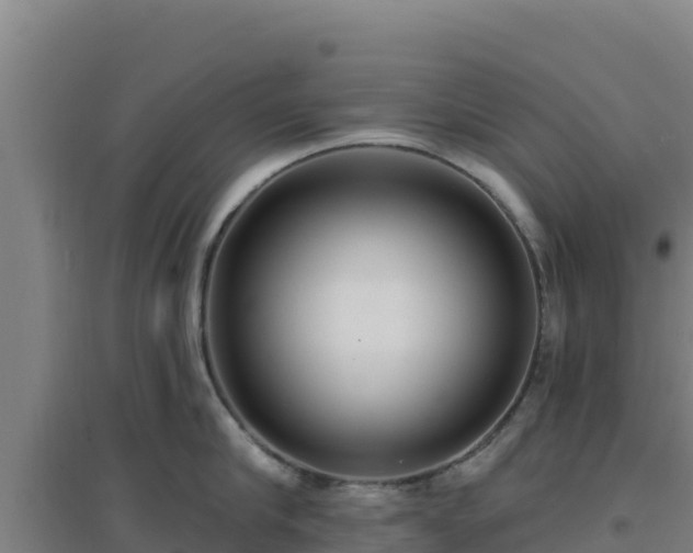 X0000096720910200802121245