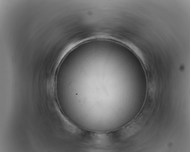 X0000096720911200802121245