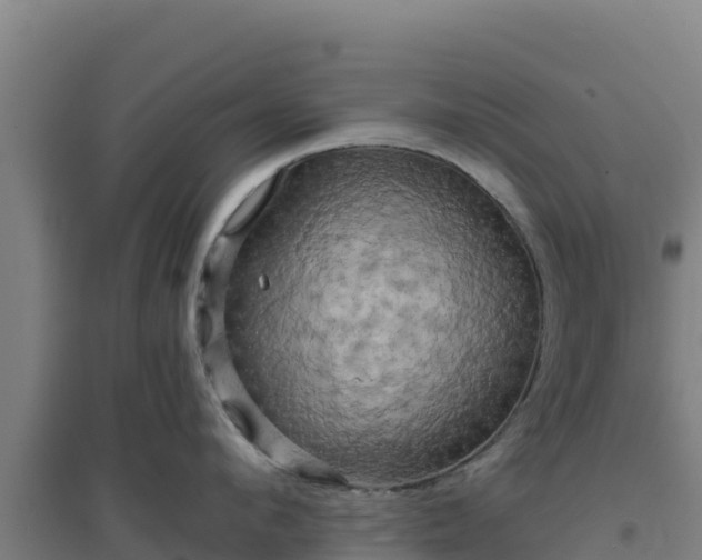 X0000096720912200802121245