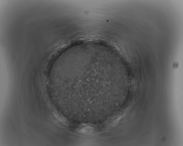 X0000096720913200802121245
