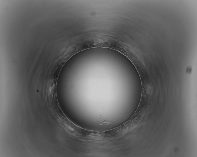 X0000096720914200802121245