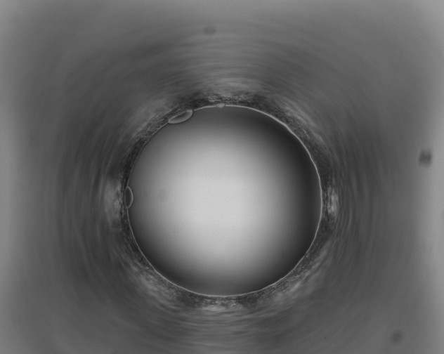 X0000096720915200802121245