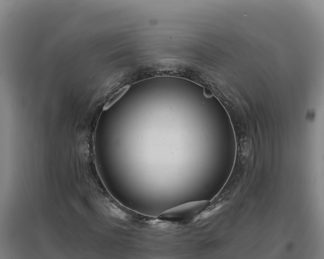 X0000096720916200802121245