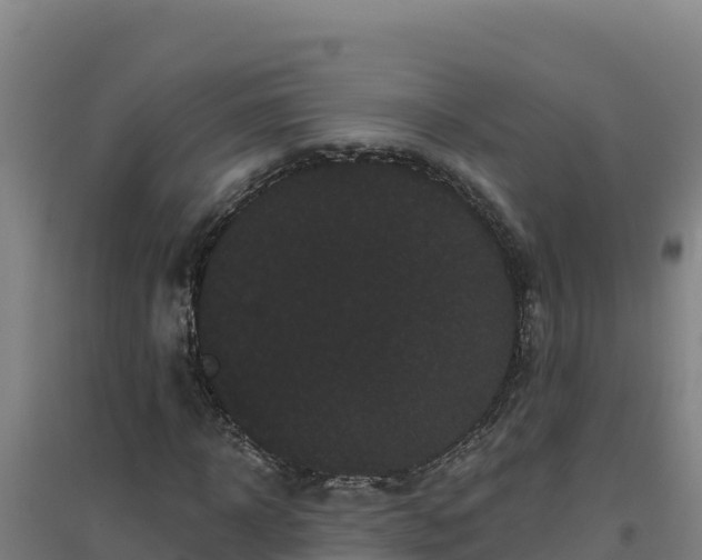 X0000096720918200802121245