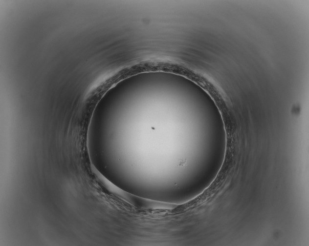 X0000096720919200802121245