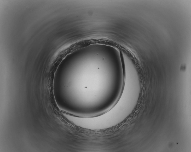 X0000096720920200802121245