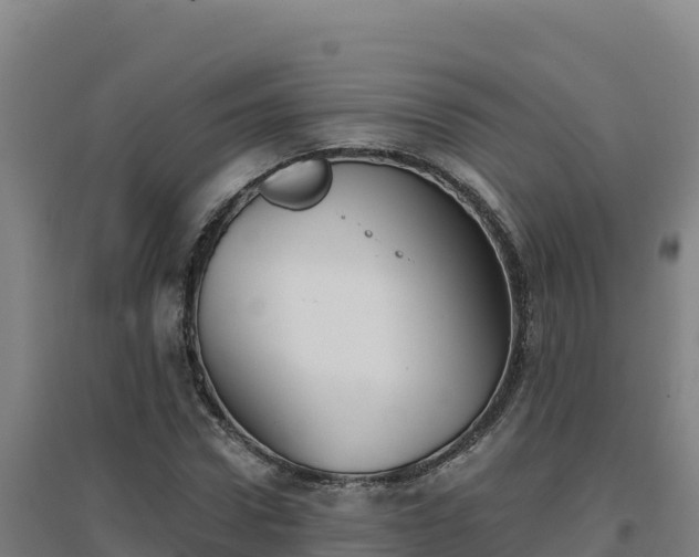 X0000096720922200802121245