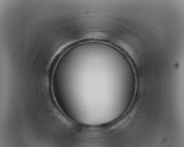 X0000096720923200802121245