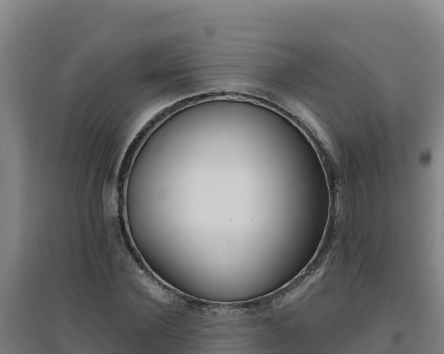 X0000096720924200802121245