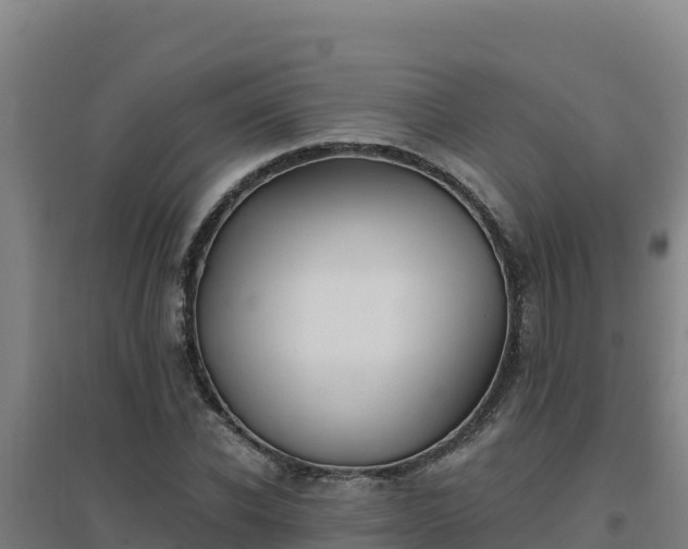 X0000096720926200802121245