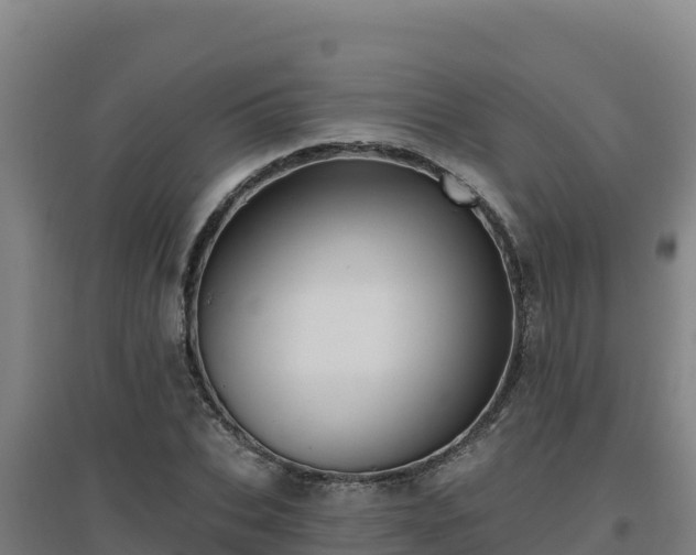 X0000096720927200802121245