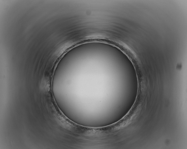 X0000096720929200802121245