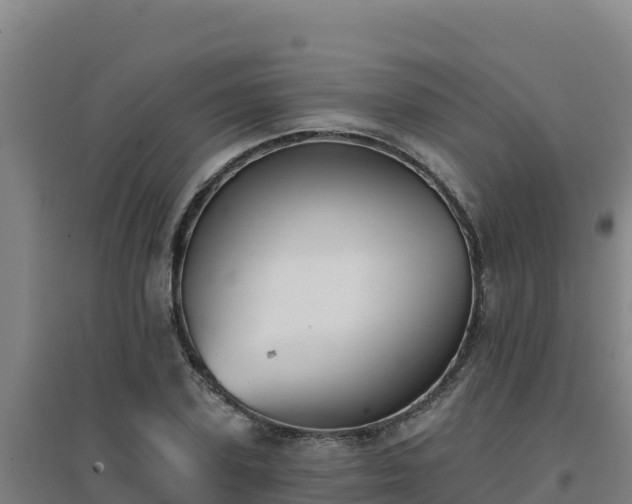 X0000096720931200802121245