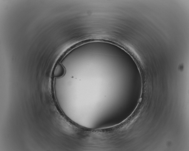 X0000096720932200802121245
