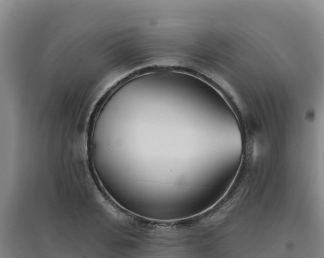 X0000096720935200802121245