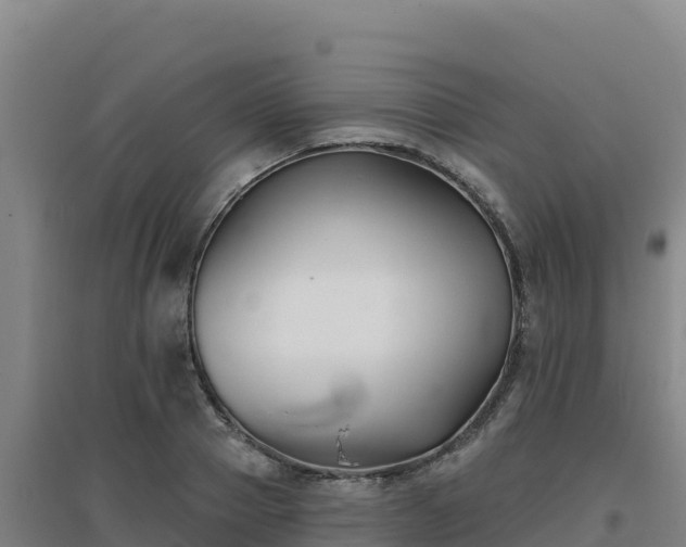X0000096720937200802121245